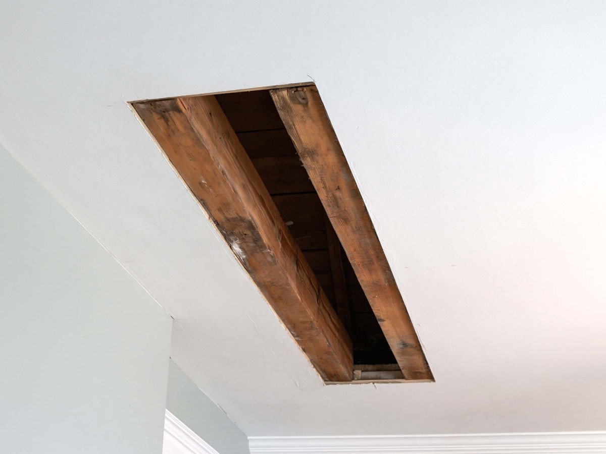 White ceiling seen from below with a straight rectangle of board cut out of it back to two exposed wood joists, the removed piece lying on a canvas drop cloth beneath and a screw gun beside it