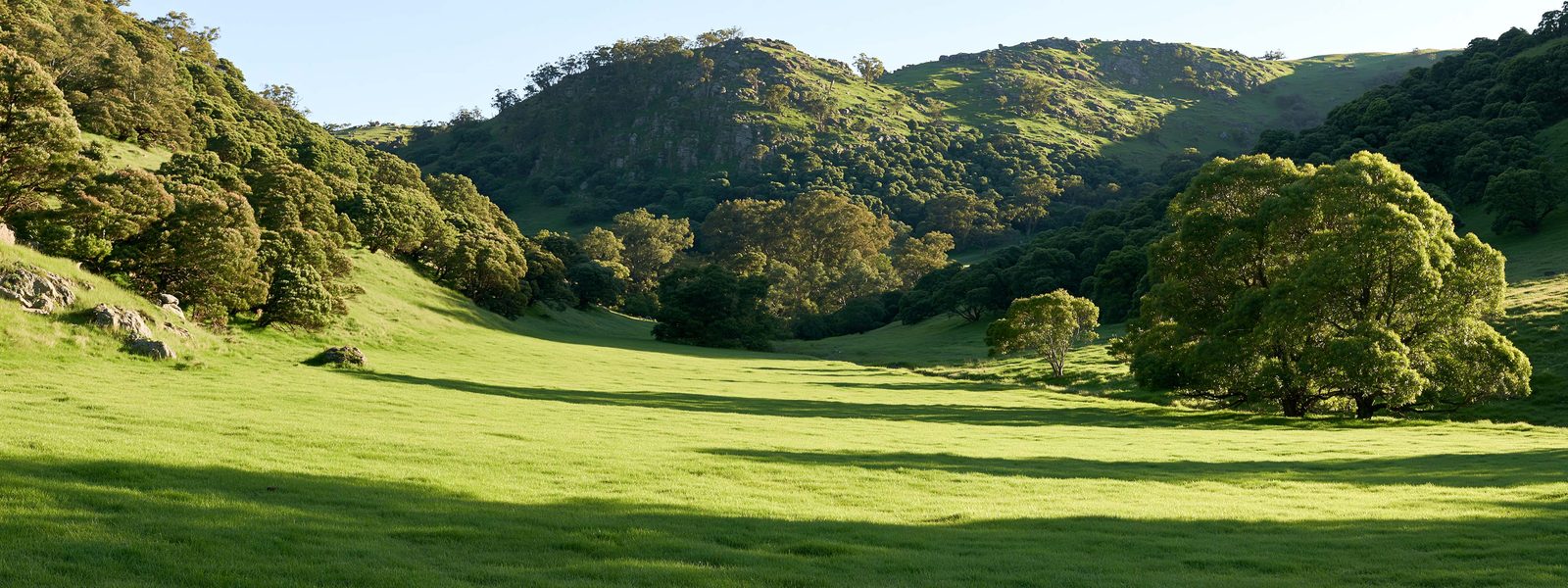 Broad open pasture running between two wooded creek courses under low limestone hills, cedar brake on the slopes and long low light across the grass
